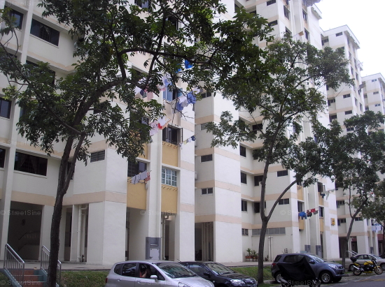 Blk 251 Hougang Avenue 3 (Hougang), HDB 5 Rooms #243412